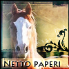 Netto paperi: 1. kapitola