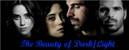 The Beauty of Dark-Light - 13. kapitola
